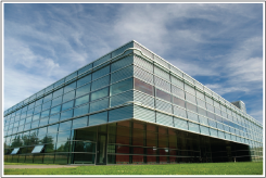 Business Insurance